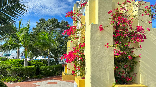 Need Frequent AC Tune-Ups